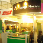 topigs norsvin